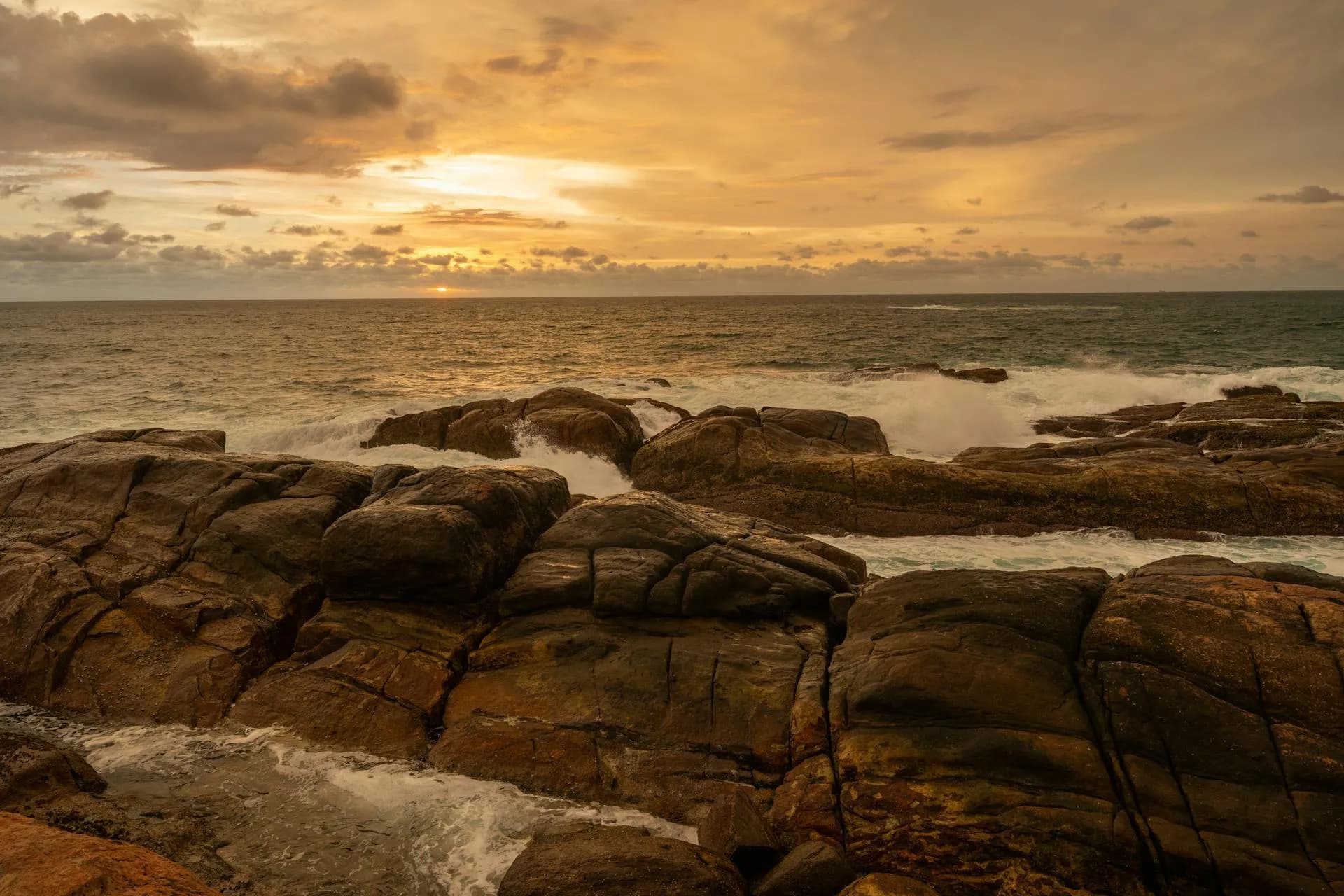Sri Lanka Highlights Tour